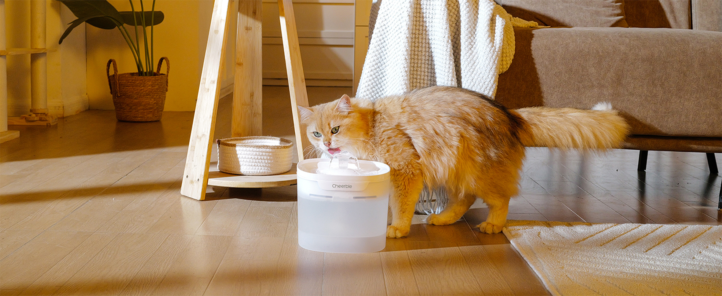 Amazon | Cheerble 猫水飲み器 猫自動給水器 ポンプレス磁力給水 漏電